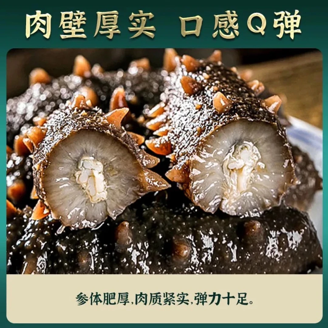 家庭版鲜食海参（送鲍鱼肉）【9～10头】【11～13头】精品