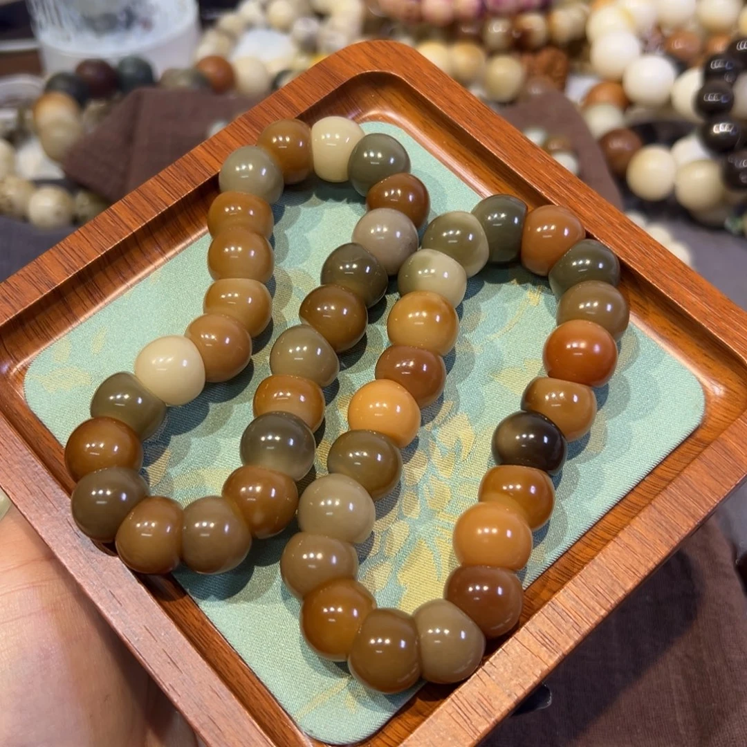 菩提根/象牙果吊坠大肠卡15