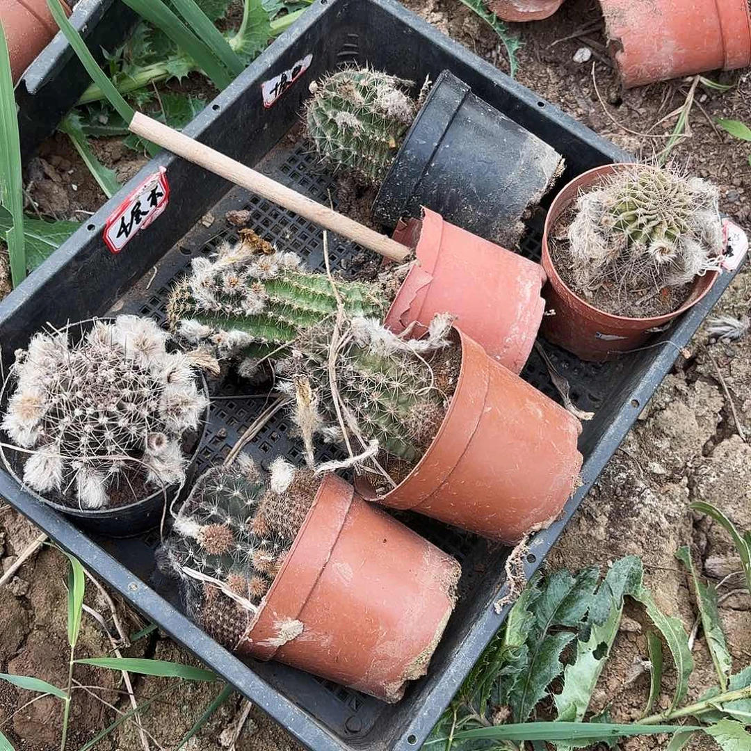 123 号瑕疵瘦无售后