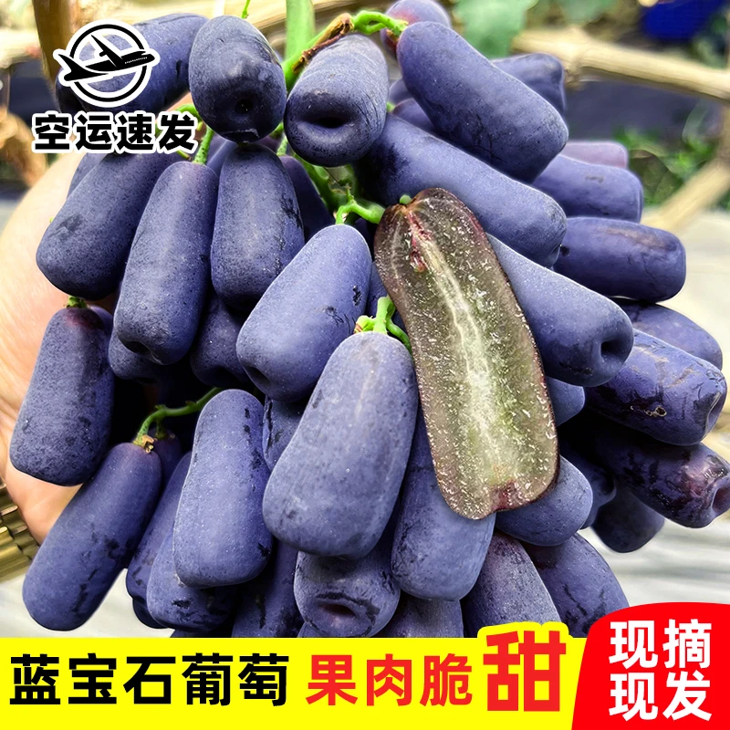 （空运速发）新鲜无籽蓝宝石金手指黑提葡萄饱满肉厚汁水足当季水果
