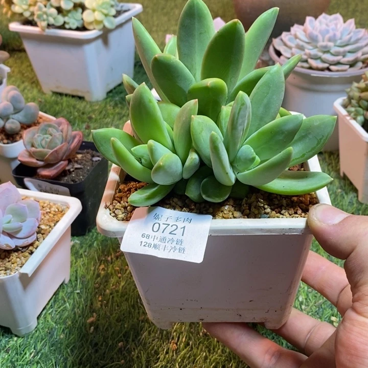 0721啊啊啊啊啊啊啊啊啊啊啊