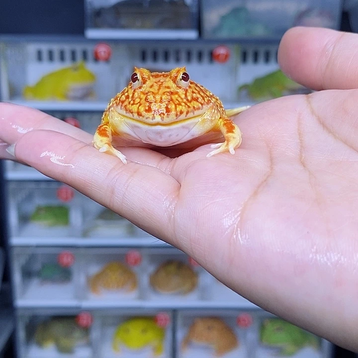 特价秒杀特价原价