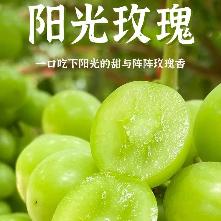 【阳光玫瑰三斤】合肥大圩阳光玫瑰葡萄皮薄多汁新鲜应季口感好三斤装葡萄同城送安徽省