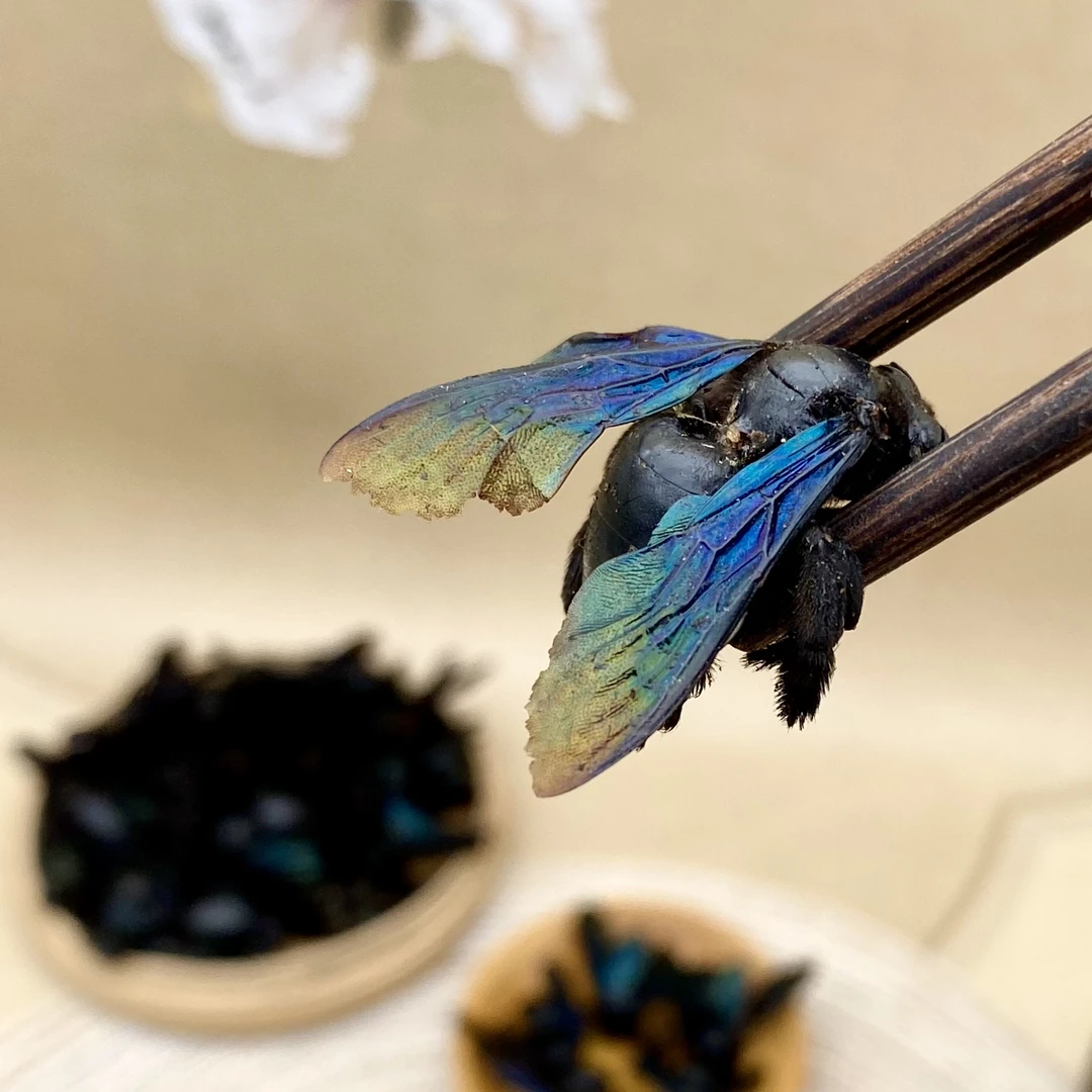 【干货】精选咸竹蜂