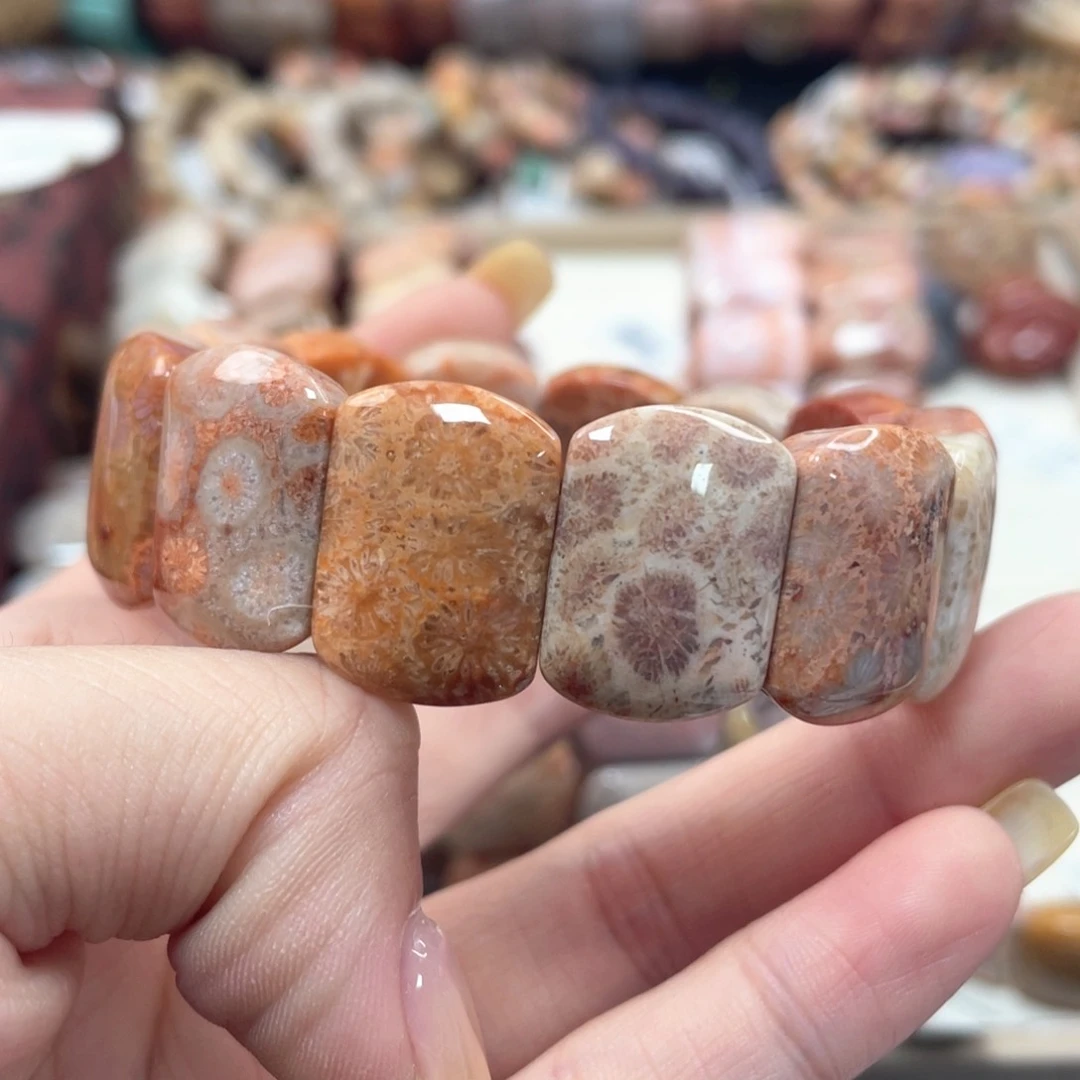 未镶嵌手串硅化珊瑚（珊瑚玉）摘*星182