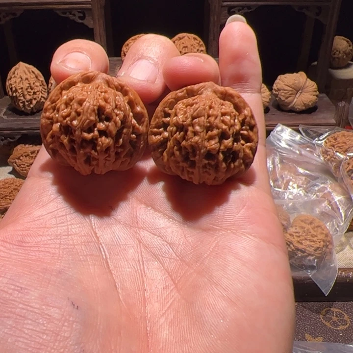 山地楼子是不是有点像是