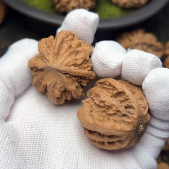 文玩核桃把件秦岭核桃2