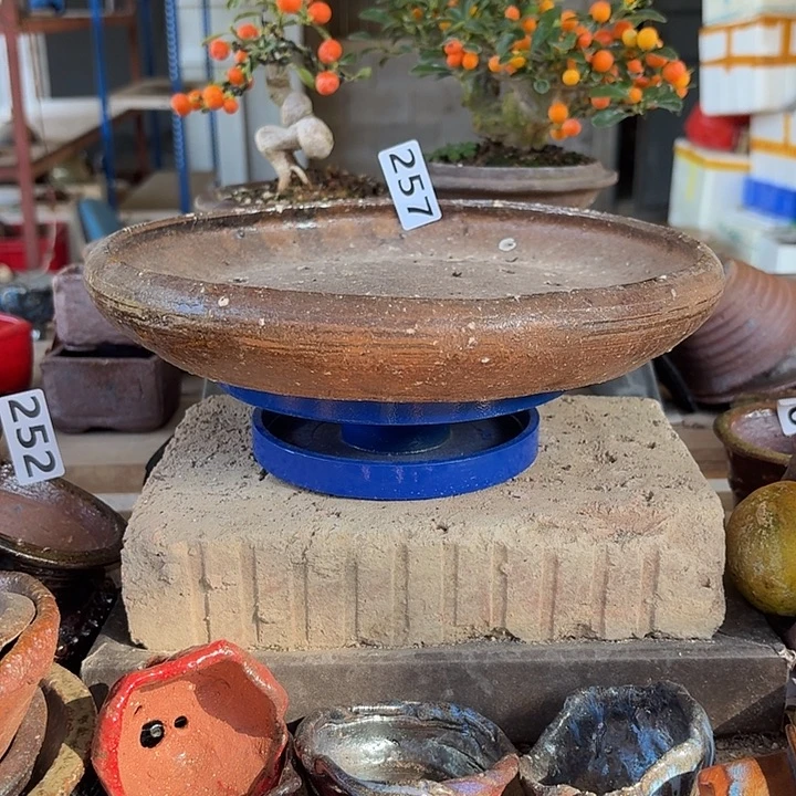 放****257////////////////////