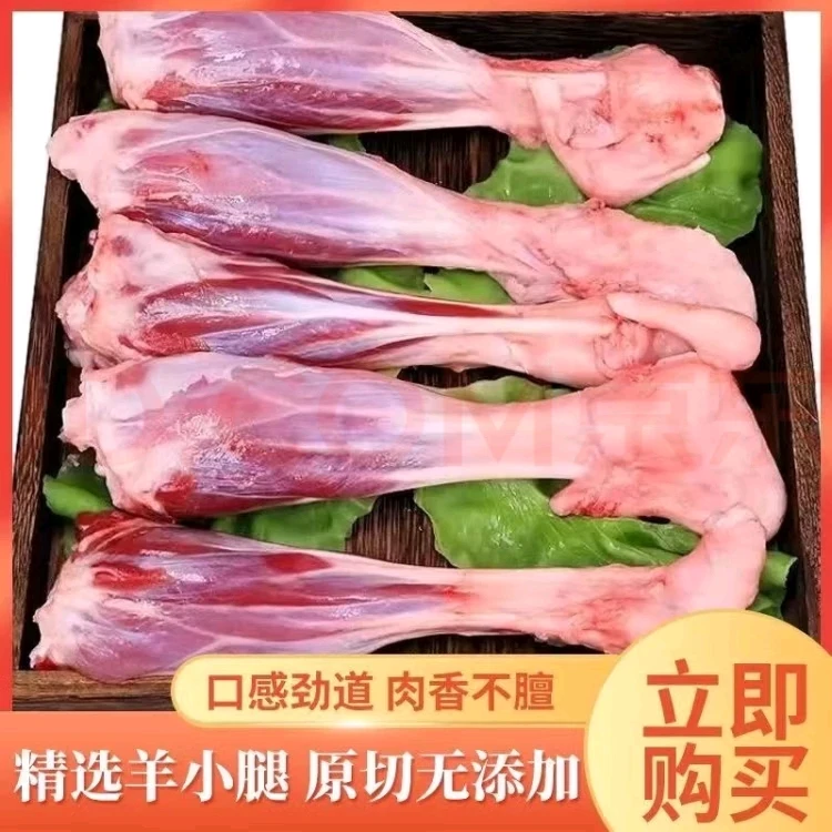 锡盟羔羊 羊前后小腿