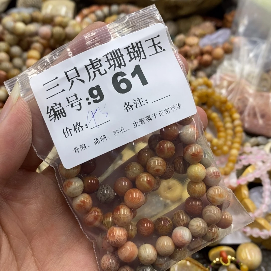 硅化珊瑚（珊瑚玉）未镶嵌X耀**/