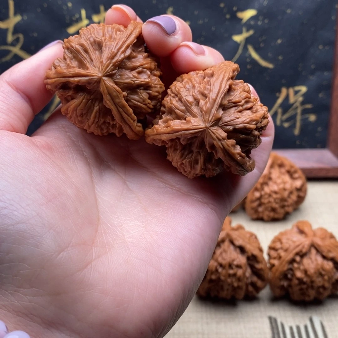 桃****?白狮子111111111