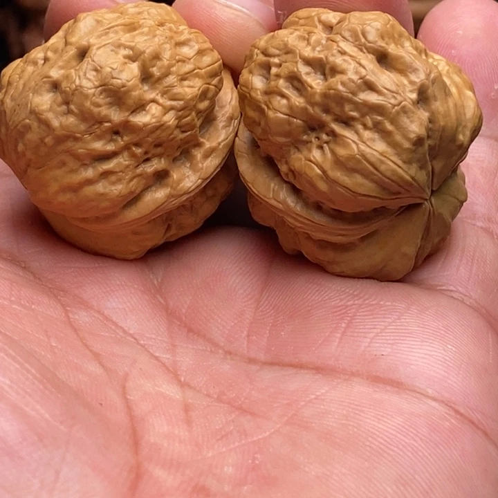 把件文玩核桃14铁臂八宝蟾