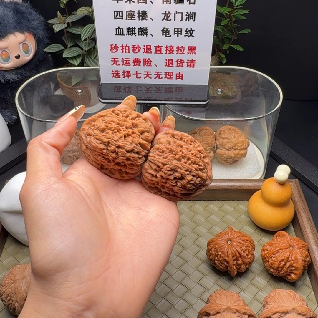 黄***锤龙脊菩提吊坠全品全家福三角疆