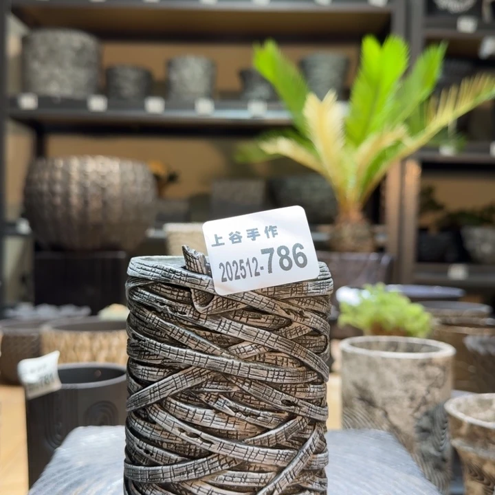 内口8高11.5木乃伊