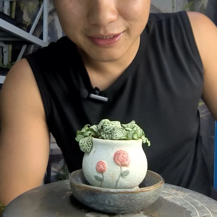 墨**音中青园艺一物一拍130