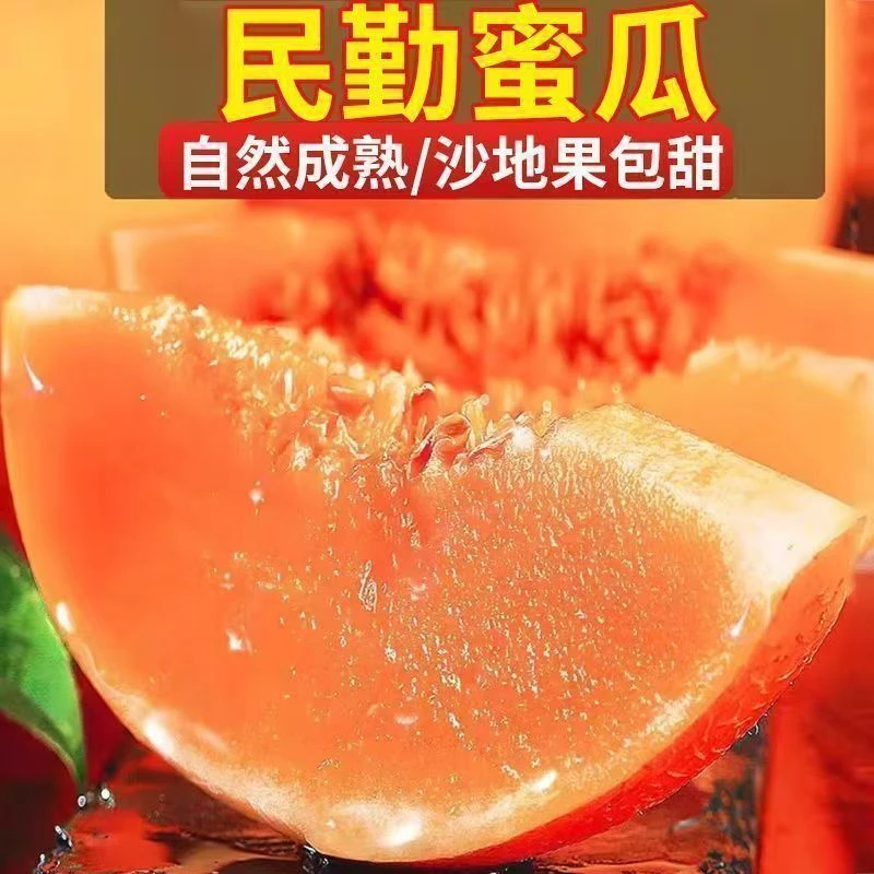 正宗甘肃民勤沙漠蜜瓜金头茬陆地成熟新鲜水果