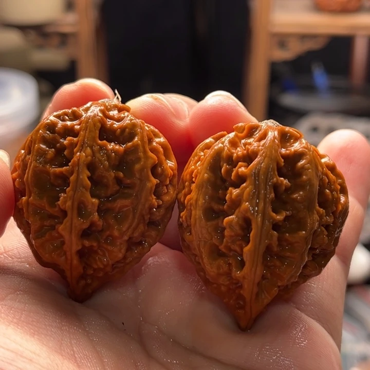 文玩核桃把件楸大胖24