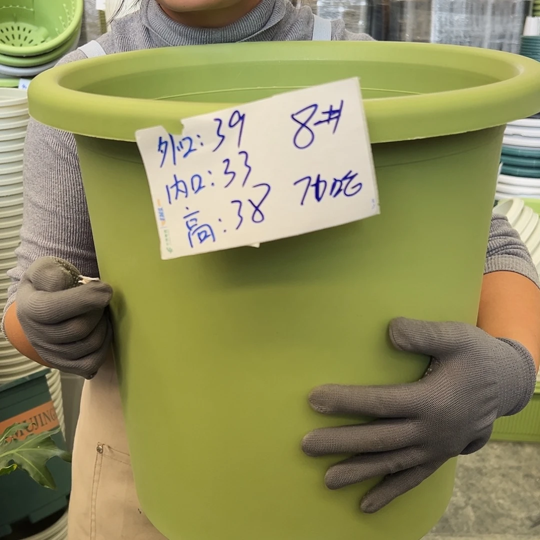 四季盆8#果绿色5个无托