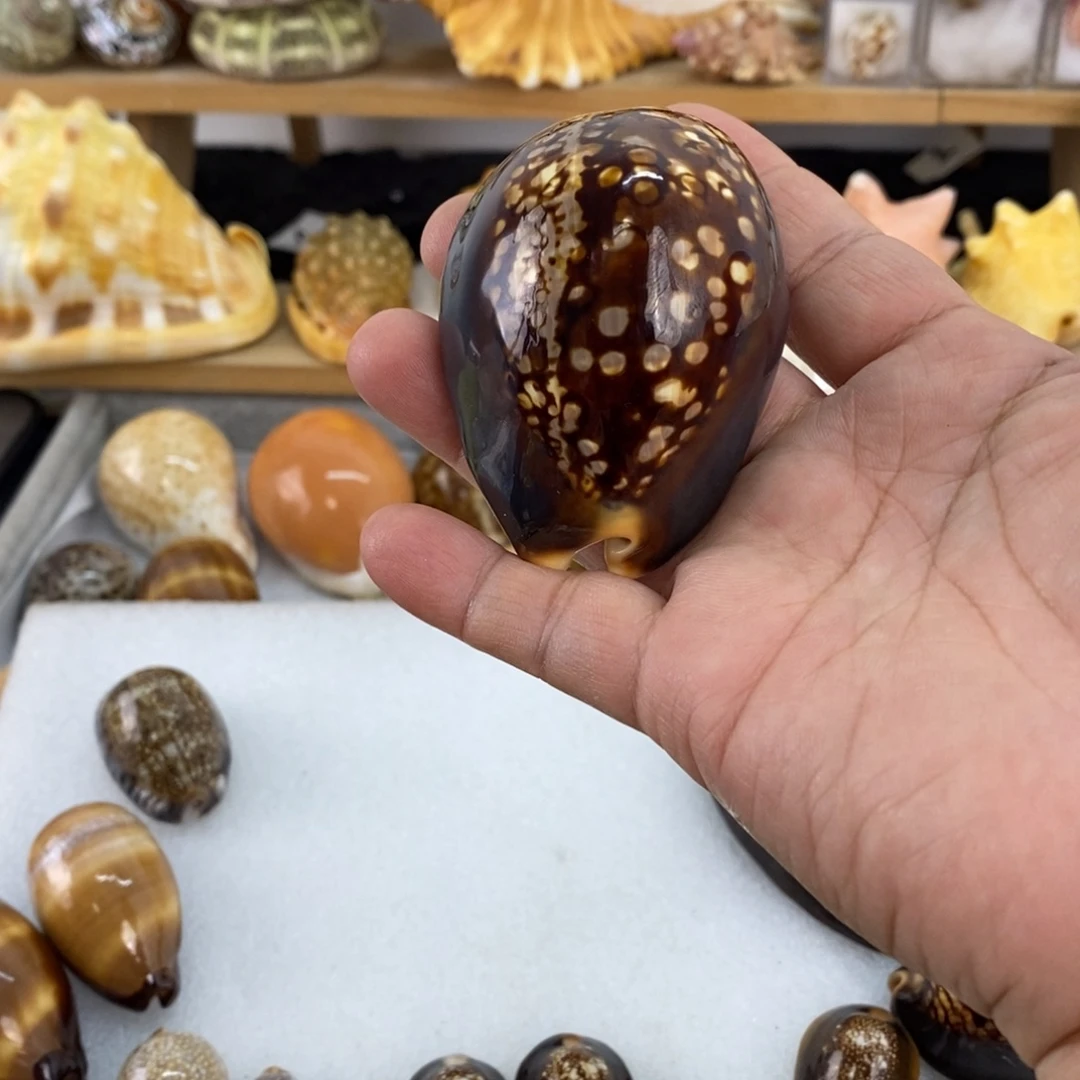 永***忆宝宝宝晚安啊宝宝