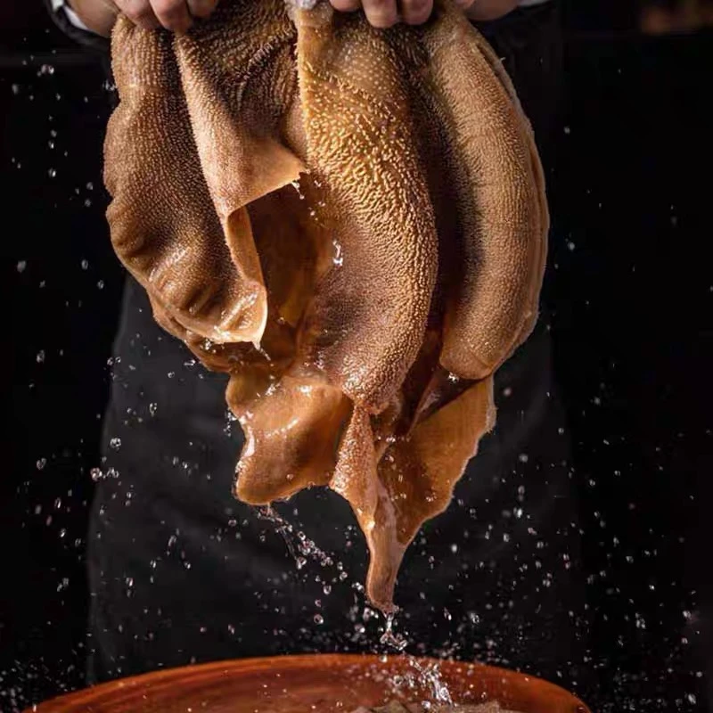 生鲜毛肚叶片水牛黄牛牛百叶火锅食材毛肚新鲜 固形物含量70%以上