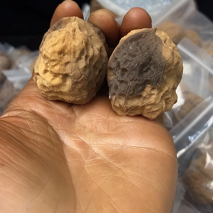 把件文玩核桃云南铁核桃基地36
