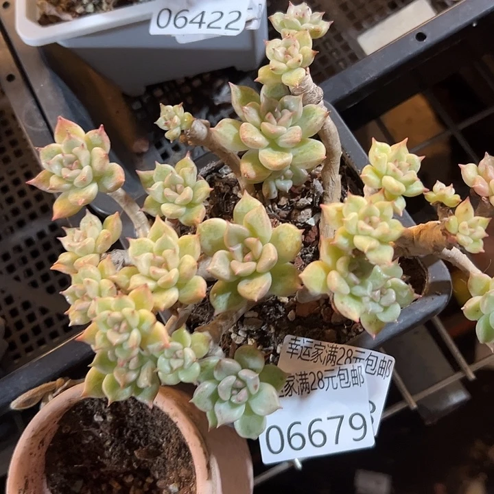 幸运的是我还没遇到过