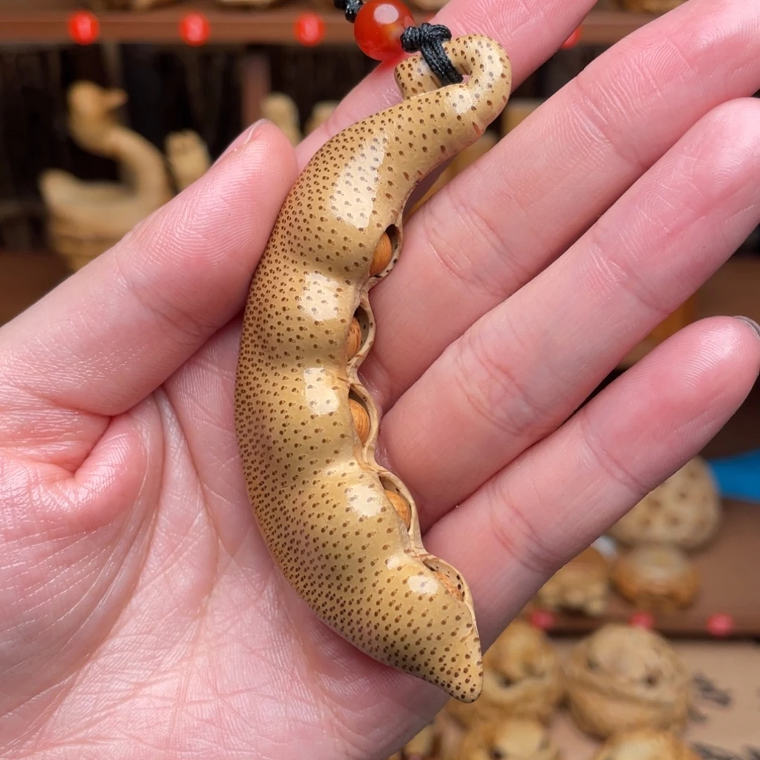 竹福利竹根四季发财豆