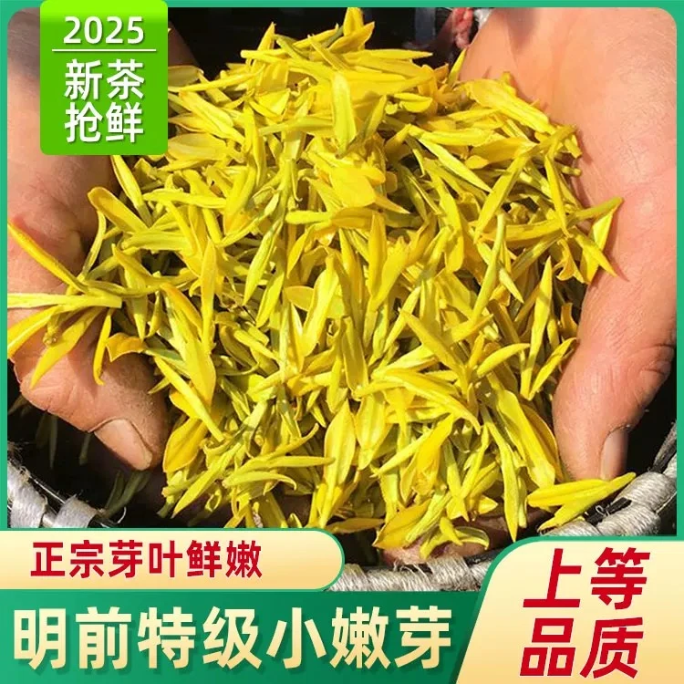 精品礼品2025上等绿茶明前嫩芽上等黄金芽茶叶明前茶黄金芽新茶叶