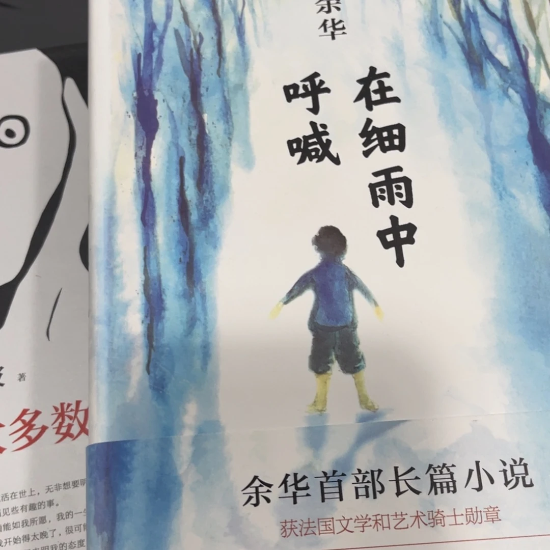 在细雨中呼喊精装