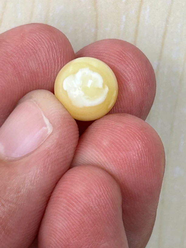 白花蜡溶洞妖花10.5加0.67克