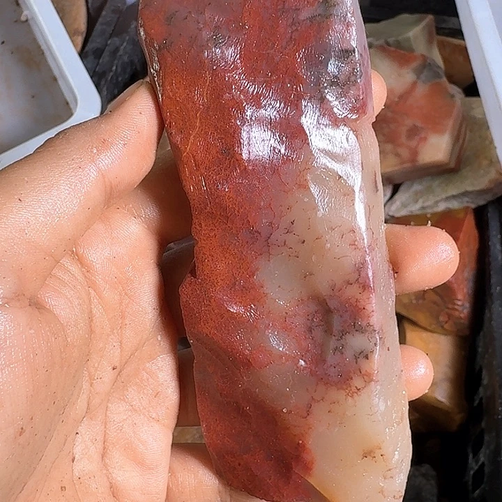 石***乐寿山石寿山石的颜色