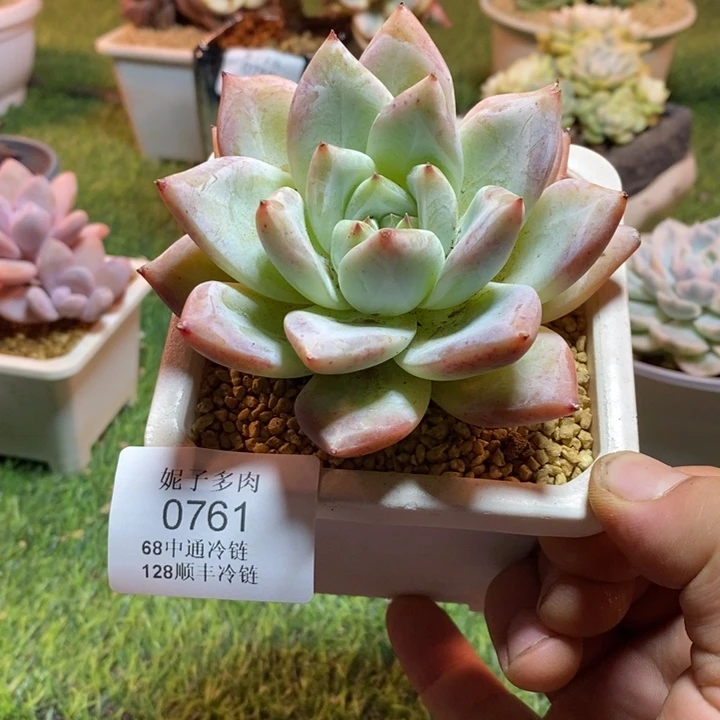 0761啊啊啊啊啊啊啊啊啊啊