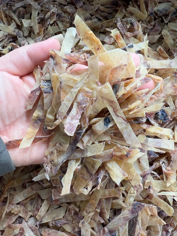 广西北海鱿鱼条 鱿鱼丝干 清蒸爆炒用
