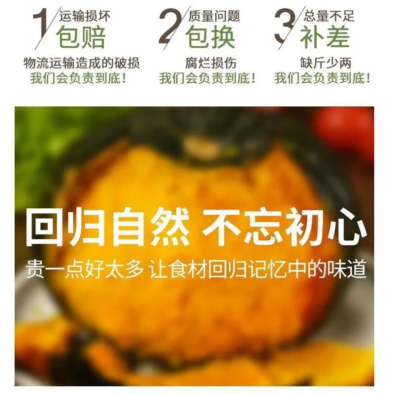【卤蛋山货】5斤正宗贝贝南瓜板栗味小南瓜新鲜蔬菜老南瓜宝辅食