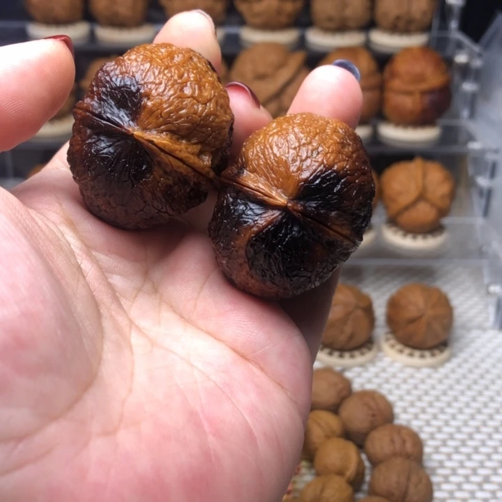 把件文玩核桃26熊猫彩元宝41+尺