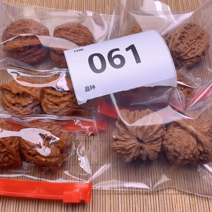 文玩核桃把件61号6对