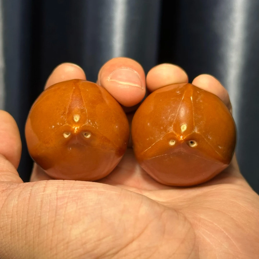 橄榄核把件巴布亚野生橄榄核手球