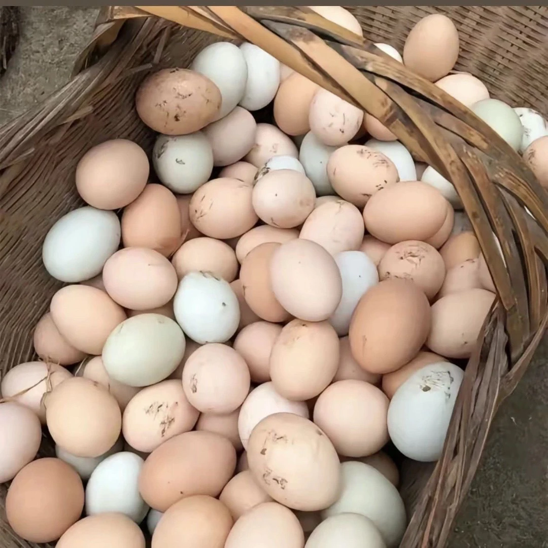 高山农家鸡蛋鸭蛋30个