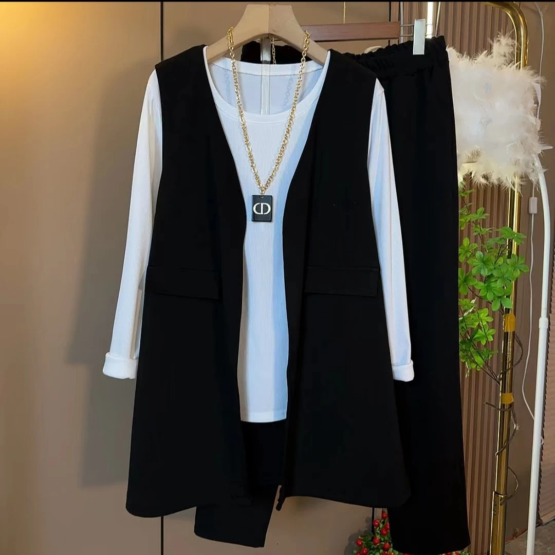 欧货时尚气质百搭显瘦马甲三件套大码套装