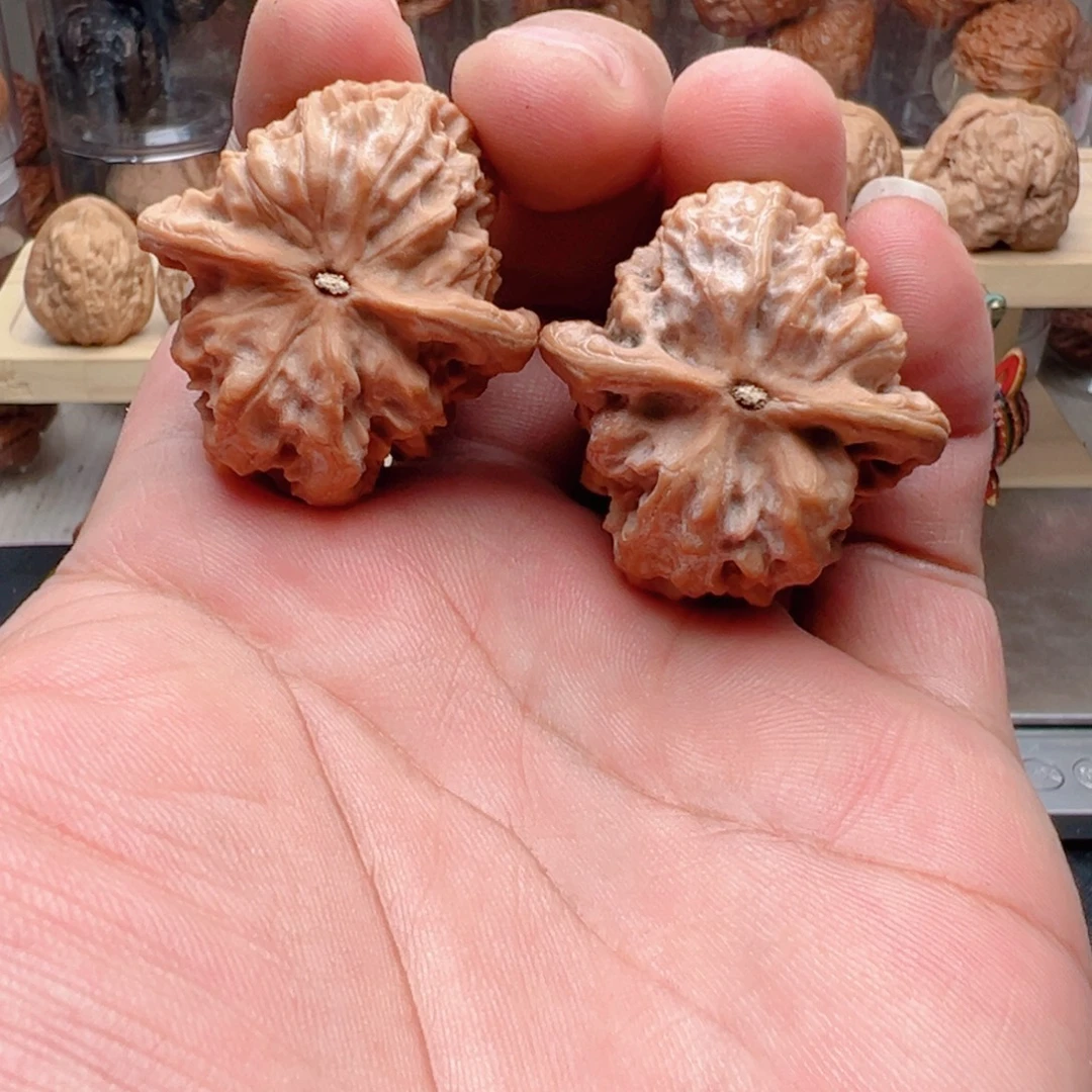 文玩核桃吊坠37尺全品野狼