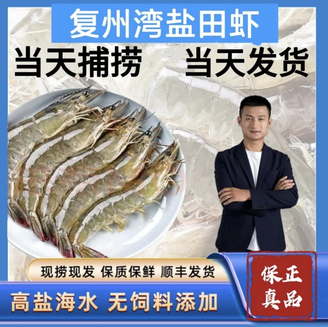 Y【速冻发货】复州湾盐场虾 3 斤/每斤30头左右（大小不均、嫌小勿拍）