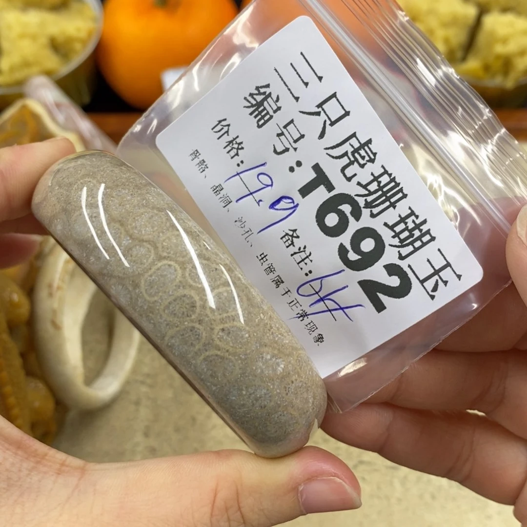硅化珊瑚（珊瑚玉）1未镶嵌蔷*