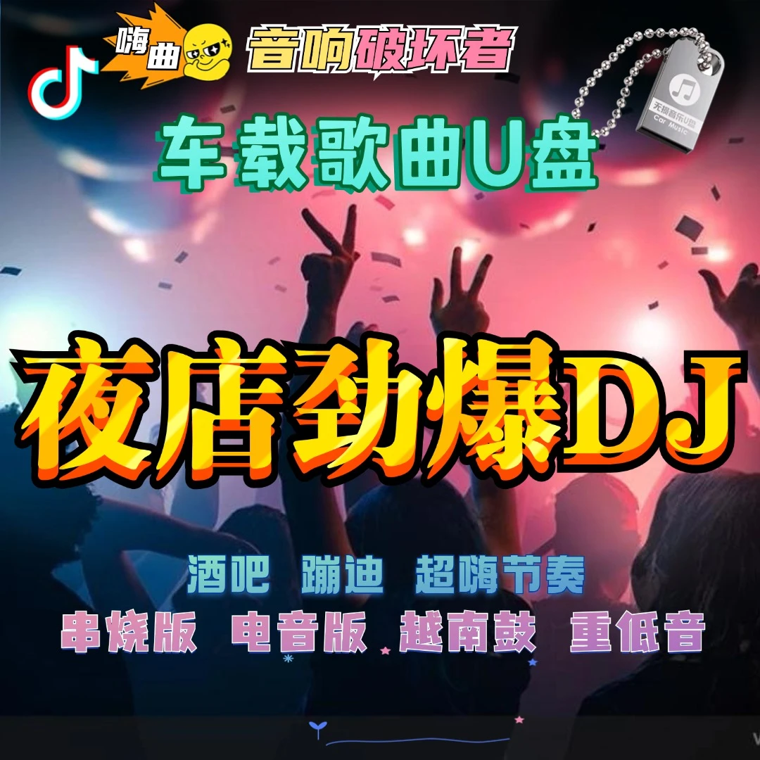 汽车载u盘无损高音质车用2025抖音DJ歌曲夜店劲爆舞曲d亅音乐优盘