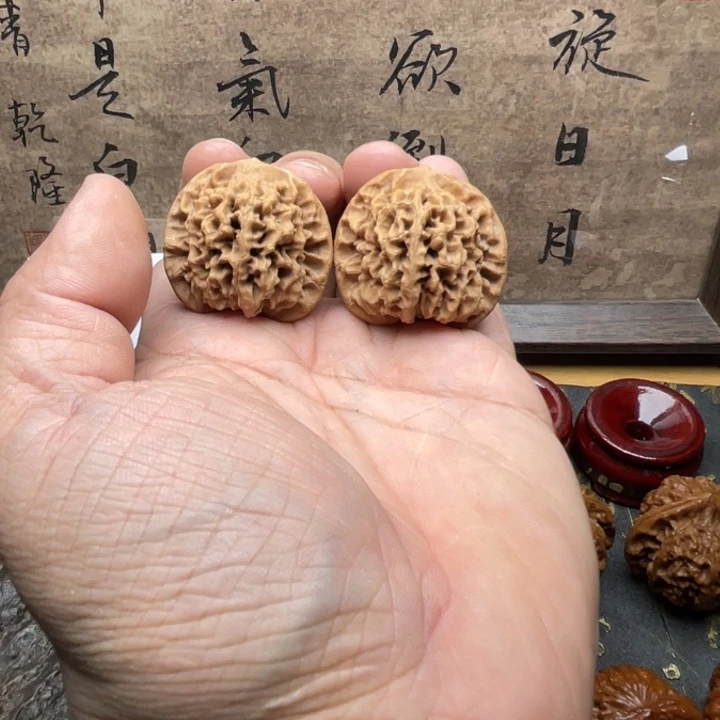 今日拍品推荐102号