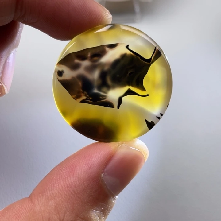 玛瑙/玉髓手镯未镶嵌i