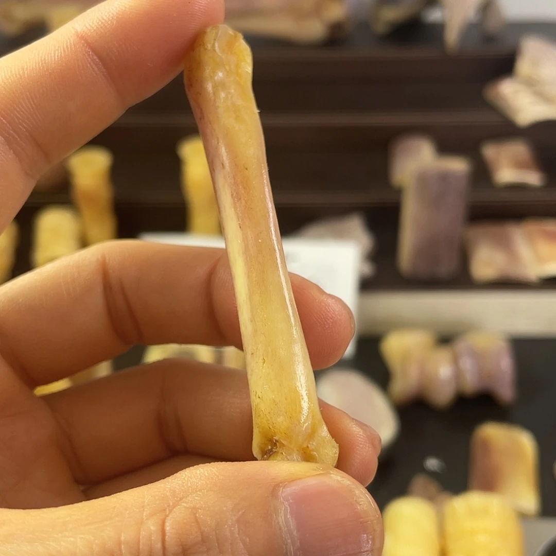 侠***仔驼骨手串/手链小骨