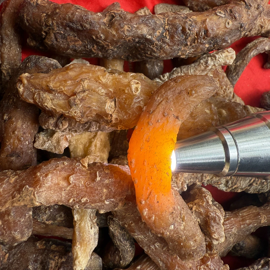 1【X-尾-七】净含量：250-2000g【阿奎现收】菌