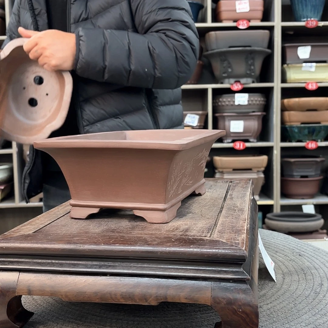 紫砂花盆阿**树紫砂的颜色很好看