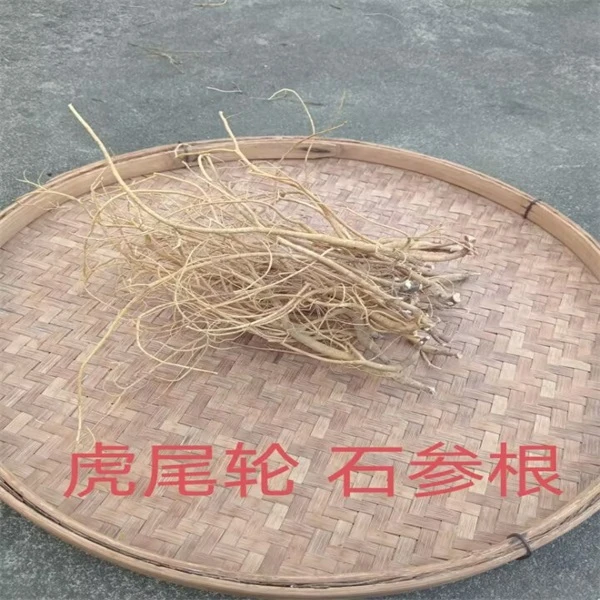 石参根客家虎尾轮土特产煲汤料