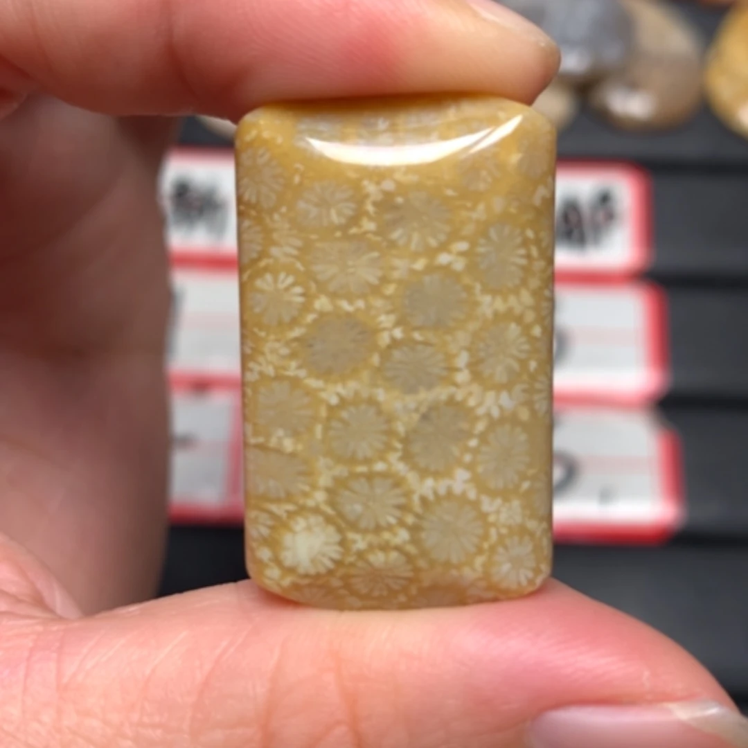 【闪购商品】硅化玉颈饰未镶嵌?****?